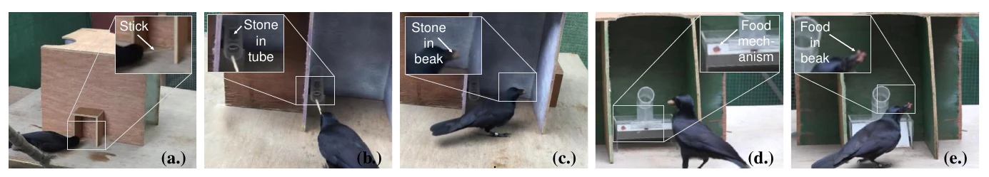 Intelligent problem-solving as integrated hierarchical reinforcement learning