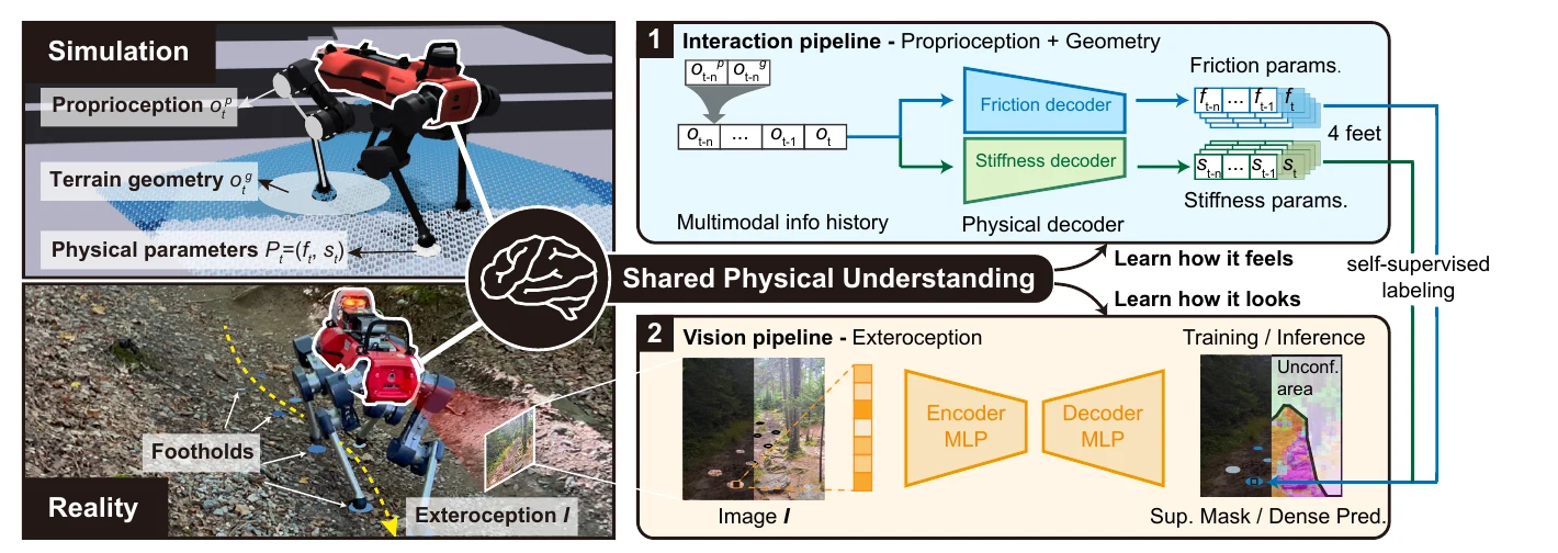 Identifying Terrain Physical Parameters from Vision-Towards Physical-Parameter-Aware Locomotion and Navigation