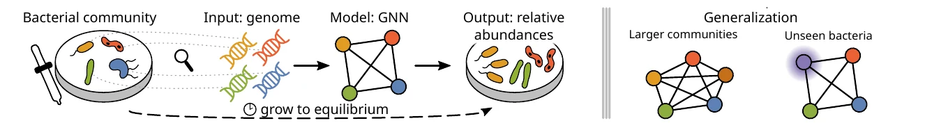 Modelling Microbial Communities with Graph Neural Networks