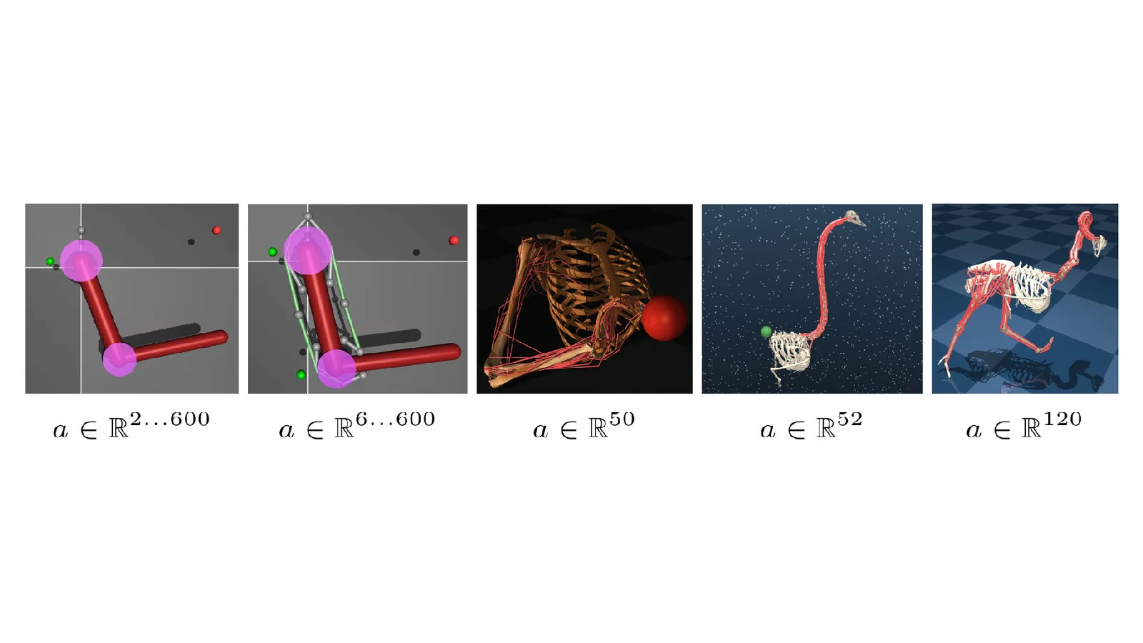 Scaling RL to Large Musculoskeletal Systems