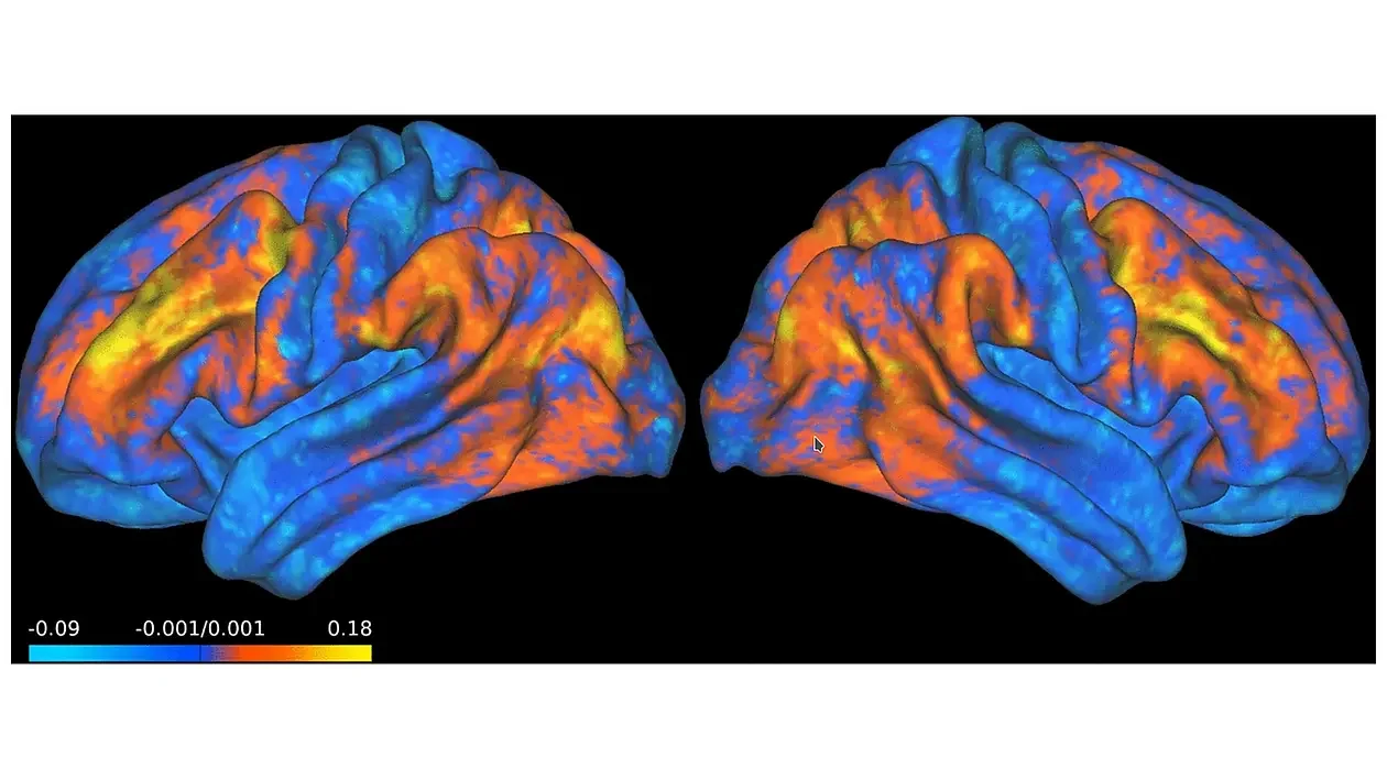Predicting Brain Activity fMRI