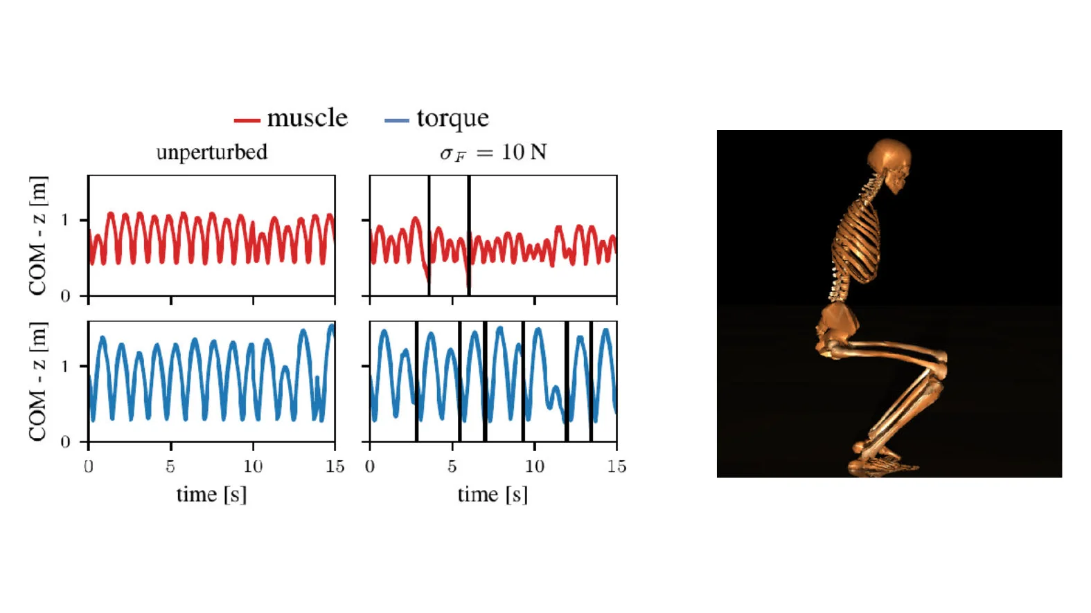The Effect of Muscles in Learning Behavior