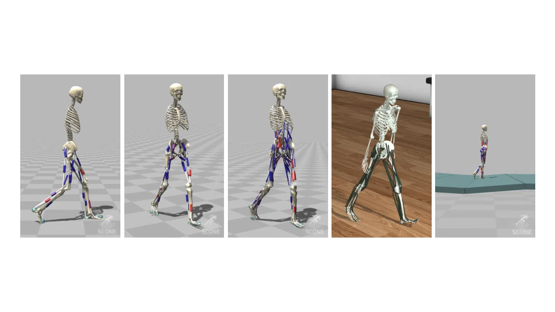 Natural and Robust Walking from Generic Rewards